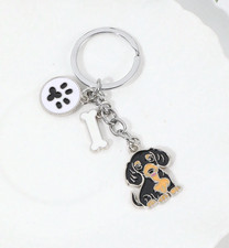 Cute Sausage Dog / Dachshund