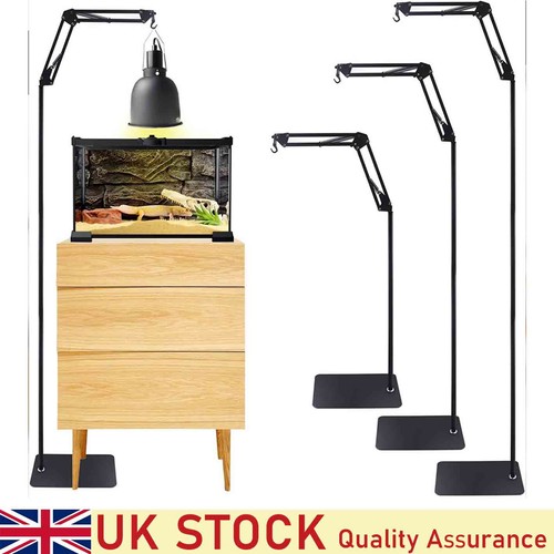 Reptile heat lamp - reptile, stand