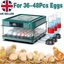 Incubators for Hatching Eggs