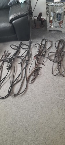 Equestrian joblot uk post - equestrian,