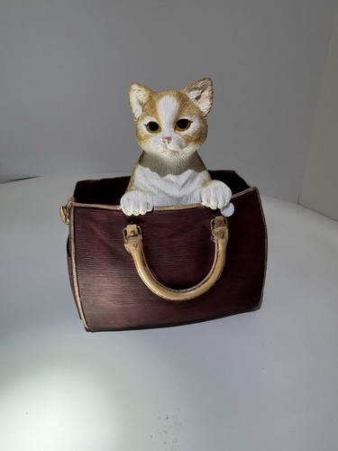 Leonardo collection cat - collection,