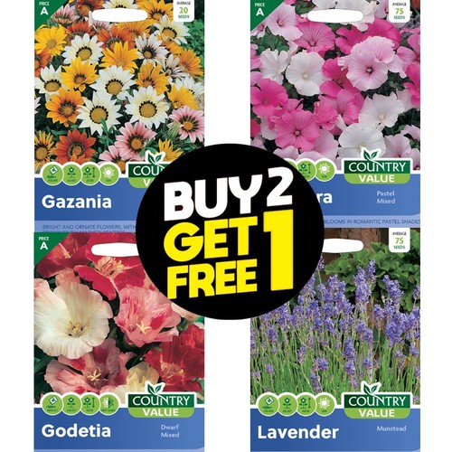Flower seeds antirrhinum aster - flower,