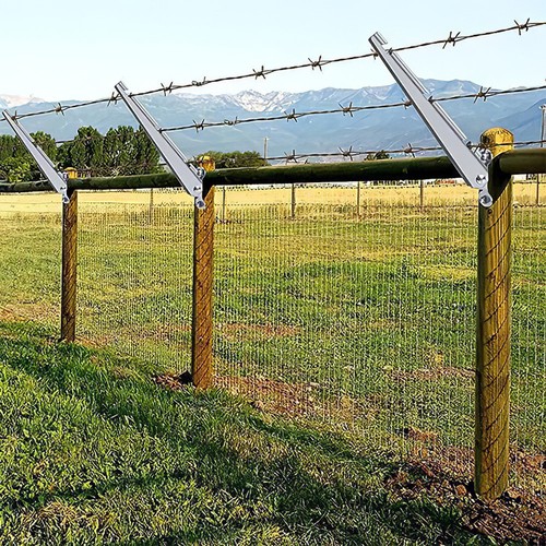 Pack barbed wire arm - 10,