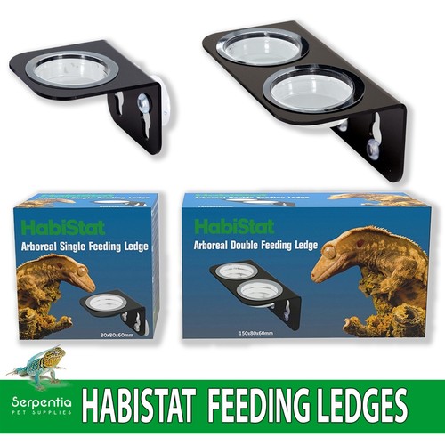 Habistat arboreal gecko - habistat,
