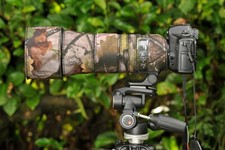 Sigma 150 600 F5 6.3 DG OS HSM