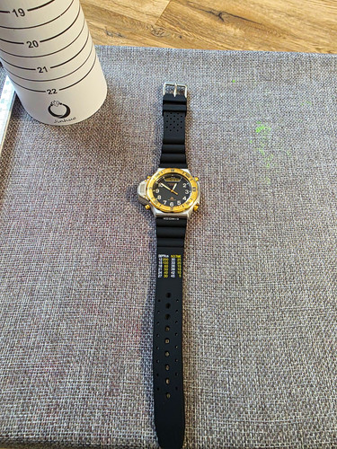 Citizen promaster altichron - promaster,