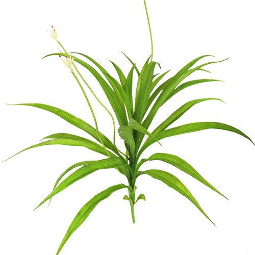 Green artificial cymbidium - green,