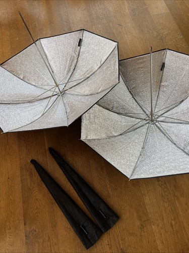Small silver elinchrom - small,