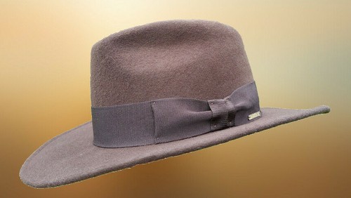 Indiana jones fedora - jones, the