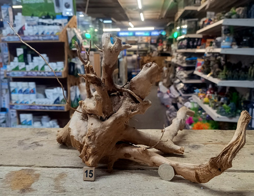 Red moor wood - wood, aquarium