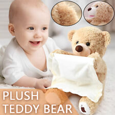 Peek A Boo Teddy Bear Plush