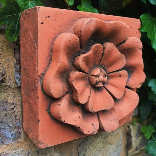English rose copy antique - rose, of