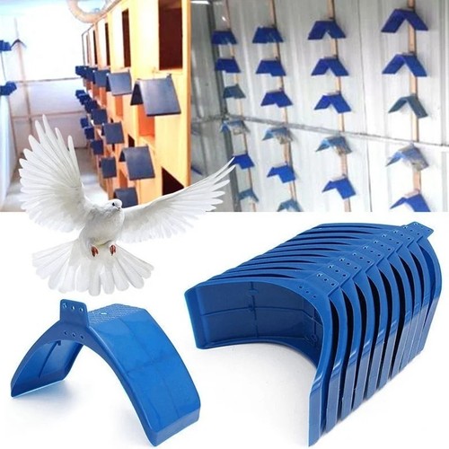10x birds dove pigeon rest - dove,
