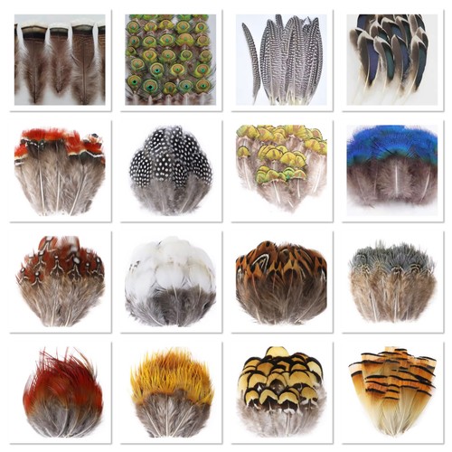 Types natural feathers - types,
