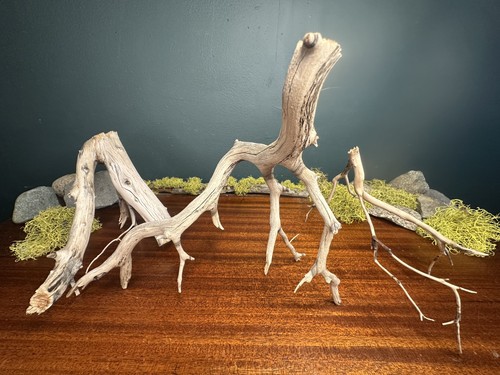 Pack manzanita driftwood - 3,