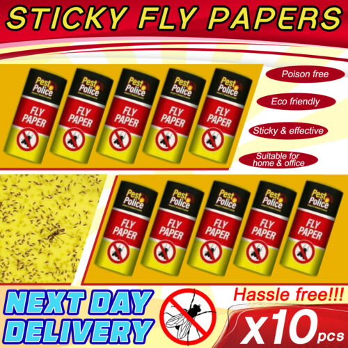 Fly insect catcher - 10,