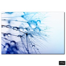 Floral Flowers BOTANICAL   BOX FRAMED CANVAS ART Picture HDR 280gsm