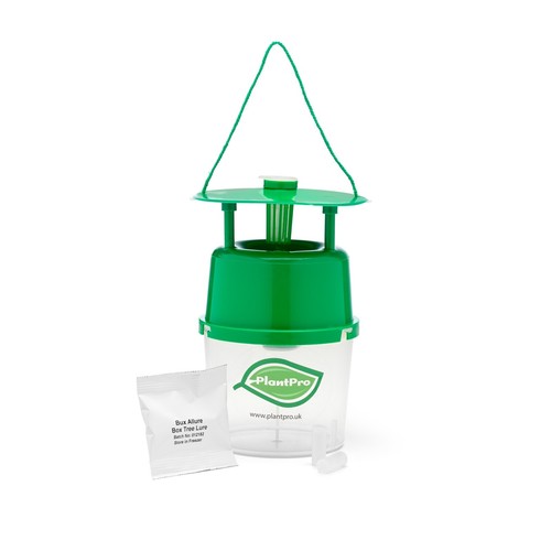 Plantpro box tree moth - box, trap