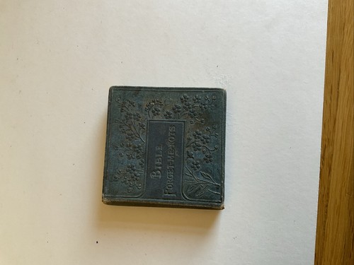 Miniature bible forget nots - bible, forget-me-nots