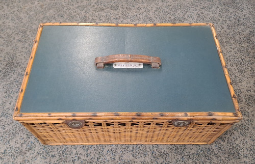 Vintage antique racing pigeons - vintage,