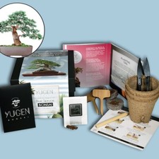 Blue Spruce Bonsai Growing Kit