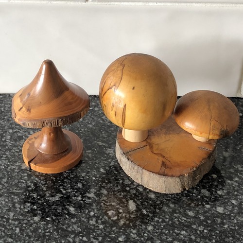 Hand turned wooden - hand, mushrooms
