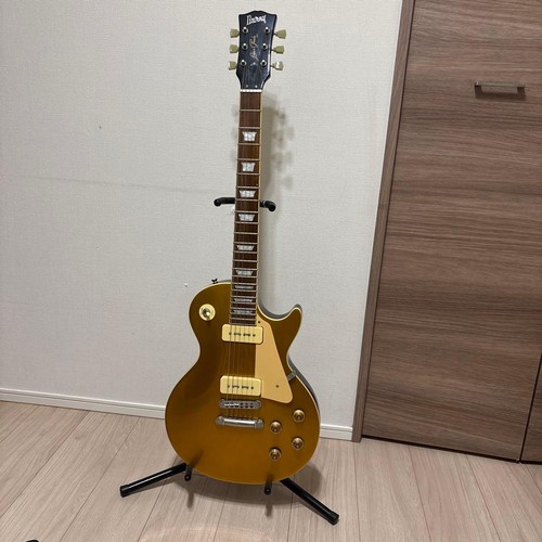 Fernandes burny rlg 60p - burny, vgt