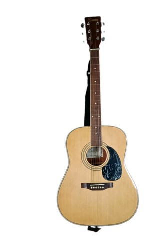Encore 255 semi acoustic - encore, ea