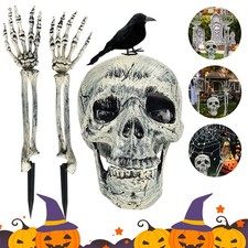 Skeleton Bones Prop Ground