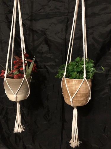 Macrame plant hanger garden - plant,