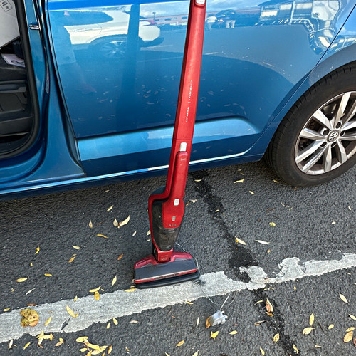 Aeg cx7 animal cordless stick - aeg,