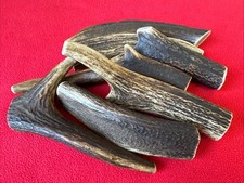 One Piece of Natural Deer Antlers Size XS,  BUY THREE GET ONE FREE !!!!!