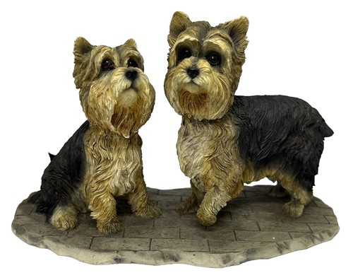 Yorkie terriers on - x,