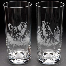 Border Collie Dog Highball