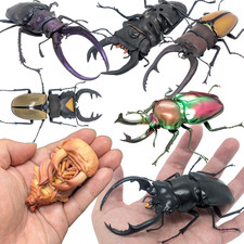Bandai Gashapon Stag Beetle