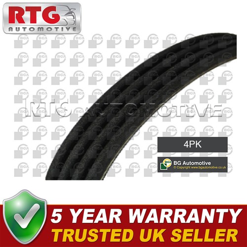 Ribbed drive belt - ribbed,