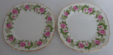COLCLOUGH BONE CHINA WAYSIDE