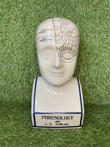 Phrenology head n fowler - phrenology,