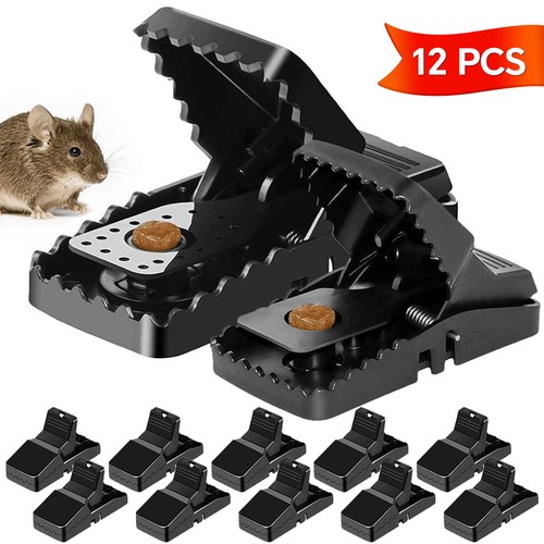 12x mouse traps heavy duty - mouse,