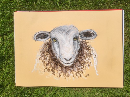 Herdwick sheep original - , large