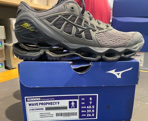 Mizuno wave prophecy - wave, 9