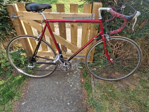 Dawes giro audax - dawes, 63cm