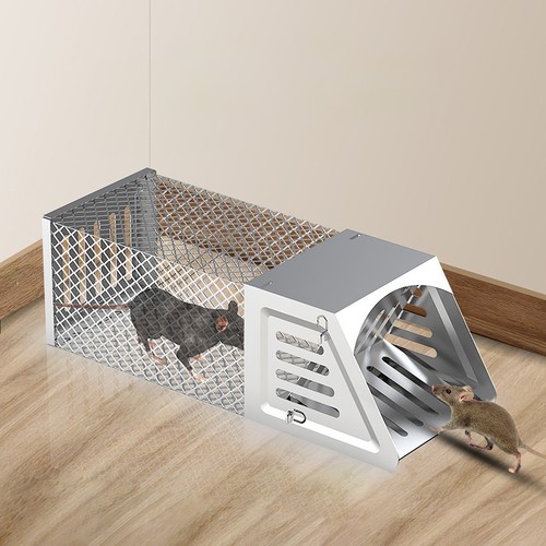 Rat squirrel cage humane - rat,