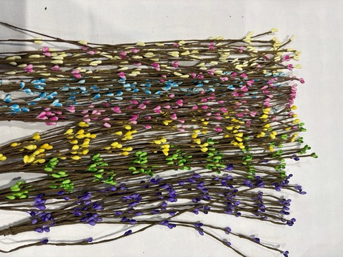 Multicoloured pussy willow - pussy,