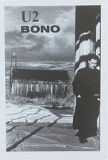 U2 Irish Music Group