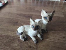 leonardo siamese cat