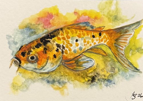 Aceo original watercolour - original,