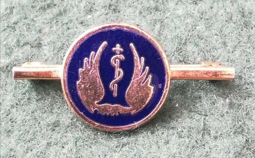 Hospital friends old badge - hospital,
