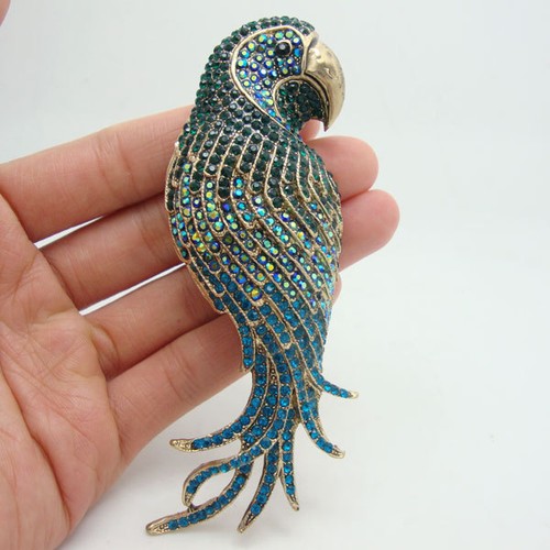 Vintage style parrot bird - parrot,