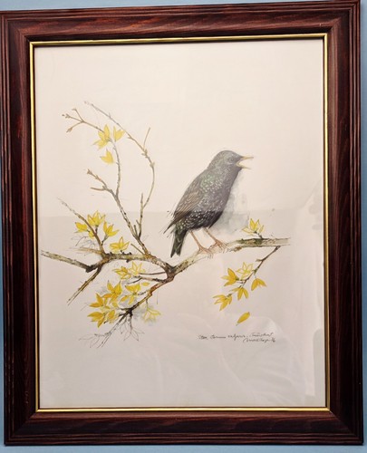 Framed vintage offset - framed,